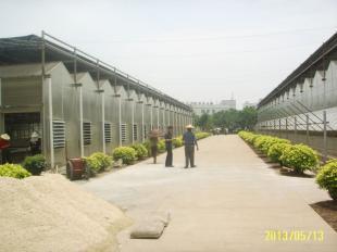 福州陽(yáng)光板溫室|廈門黑土農(nóng)業(yè)科技_農(nóng)副產(chǎn)品_世界工廠網(wǎng)